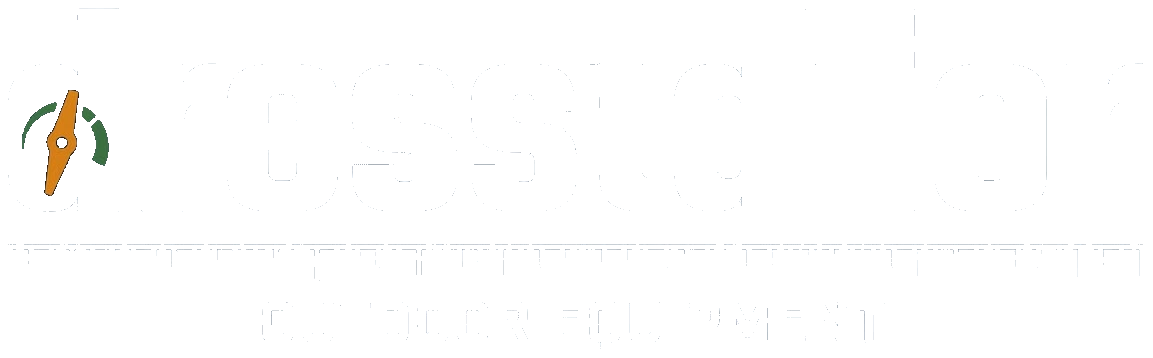 dresstailor